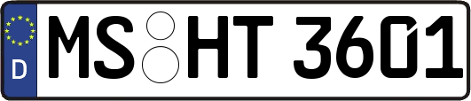 MS-HT3601