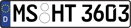 MS-HT3603