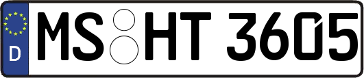 MS-HT3605