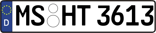 MS-HT3613