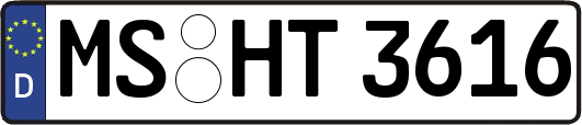 MS-HT3616