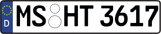 MS-HT3617