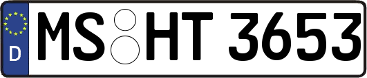 MS-HT3653