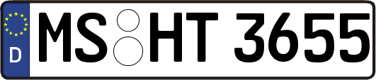 MS-HT3655