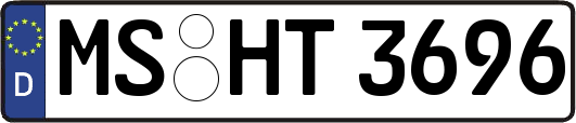 MS-HT3696