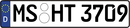 MS-HT3709