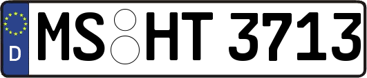MS-HT3713