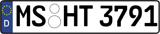 MS-HT3791