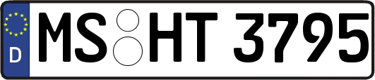 MS-HT3795