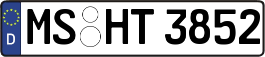 MS-HT3852