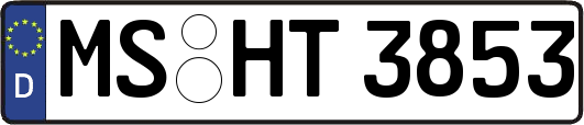 MS-HT3853