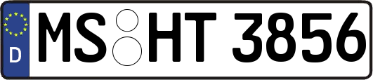 MS-HT3856