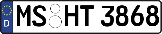 MS-HT3868