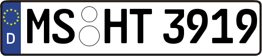 MS-HT3919