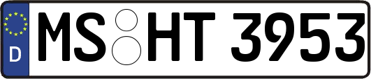 MS-HT3953