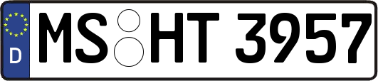 MS-HT3957