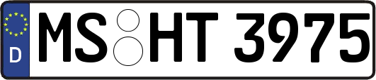 MS-HT3975