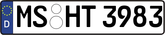 MS-HT3983