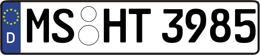MS-HT3985