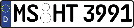 MS-HT3991