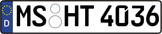 MS-HT4036