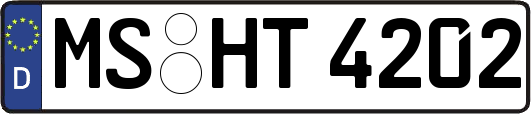 MS-HT4202