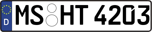 MS-HT4203