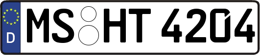 MS-HT4204