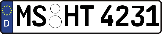 MS-HT4231