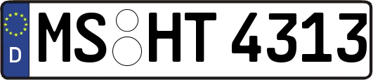 MS-HT4313