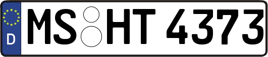 MS-HT4373