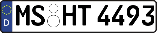 MS-HT4493