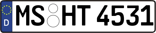MS-HT4531