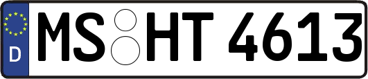MS-HT4613