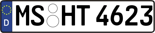 MS-HT4623