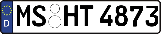 MS-HT4873