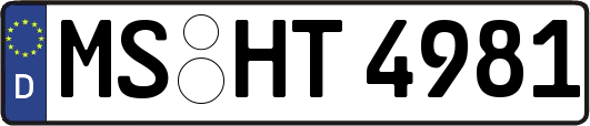 MS-HT4981