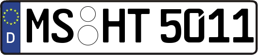 MS-HT5011