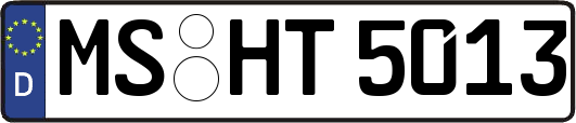 MS-HT5013
