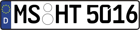 MS-HT5016