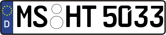 MS-HT5033