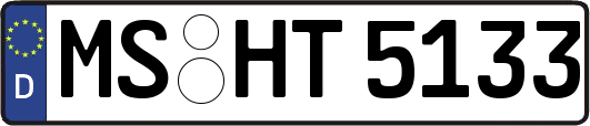 MS-HT5133