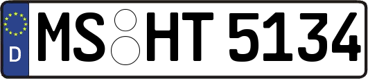 MS-HT5134