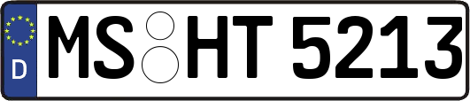 MS-HT5213