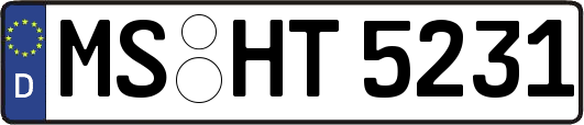 MS-HT5231
