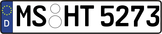 MS-HT5273