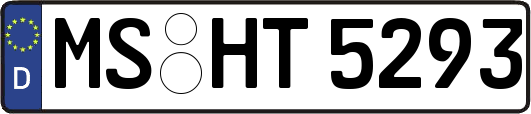 MS-HT5293