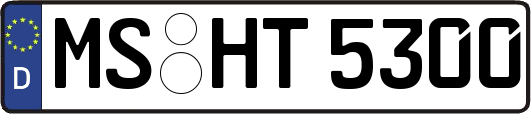 MS-HT5300