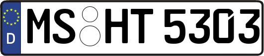 MS-HT5303