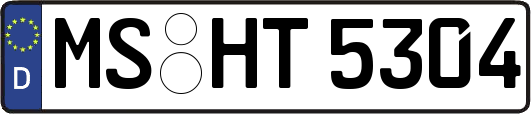 MS-HT5304